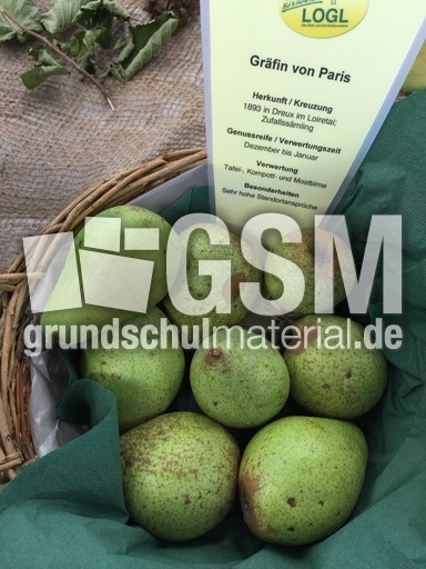 Gräfin von Paris.jpg
